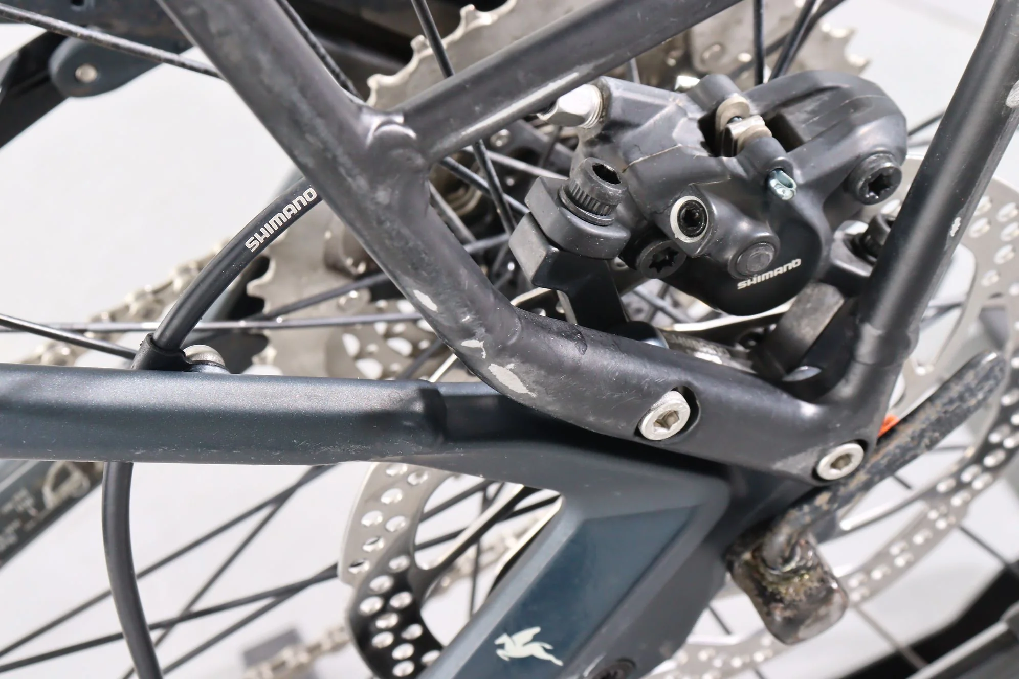 Pegasus Premio Evo 10 - Image 11