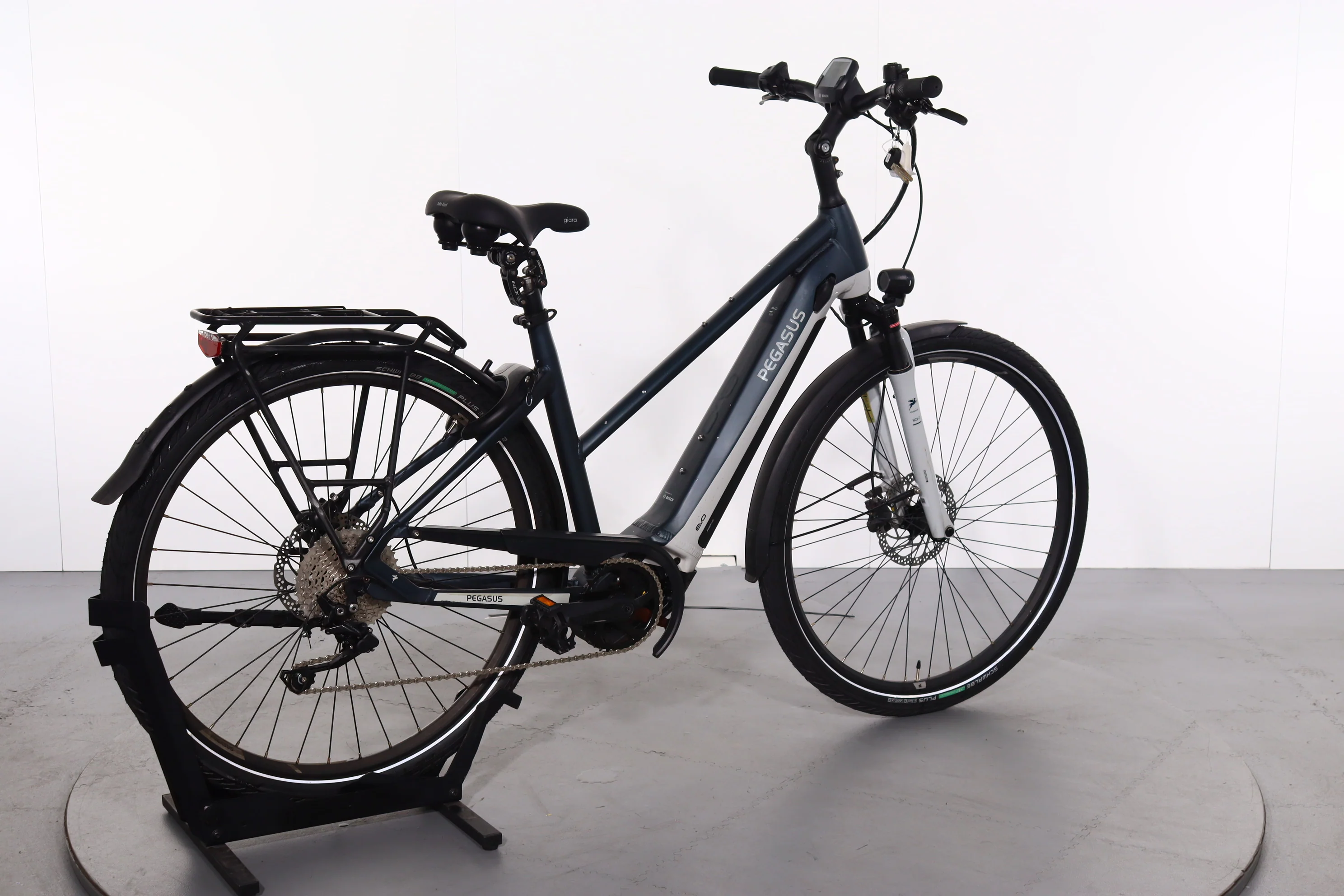 Pegasus Premio Evo 10 - Image 2