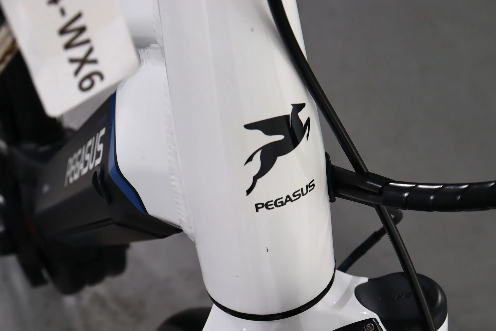 Pegasus Premio Evo 10 - Image 8