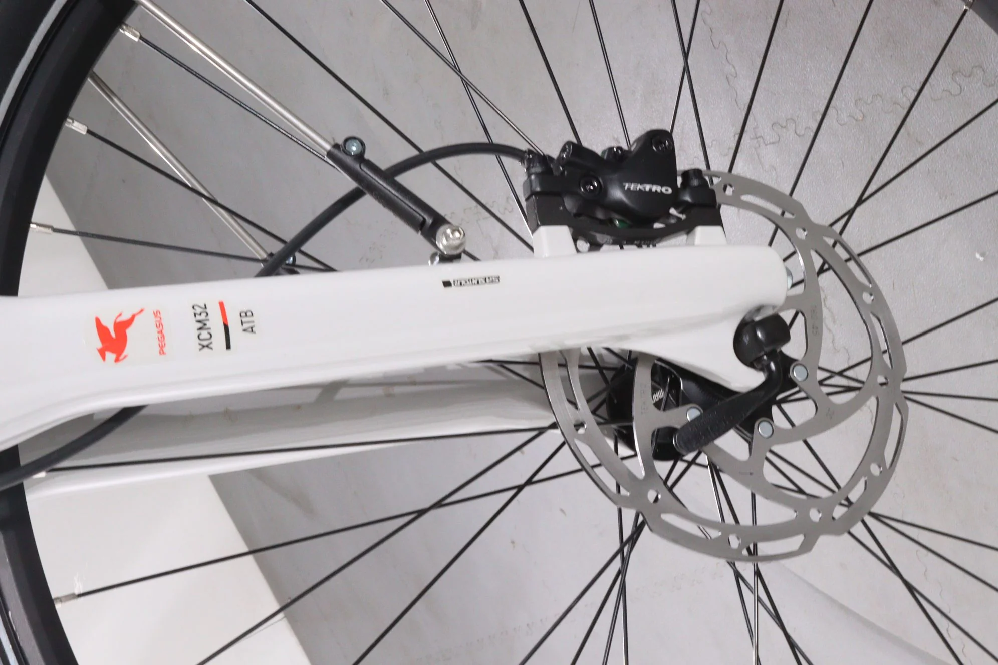 Pegasus Premio Evo 12 Lite Cross - Image 12