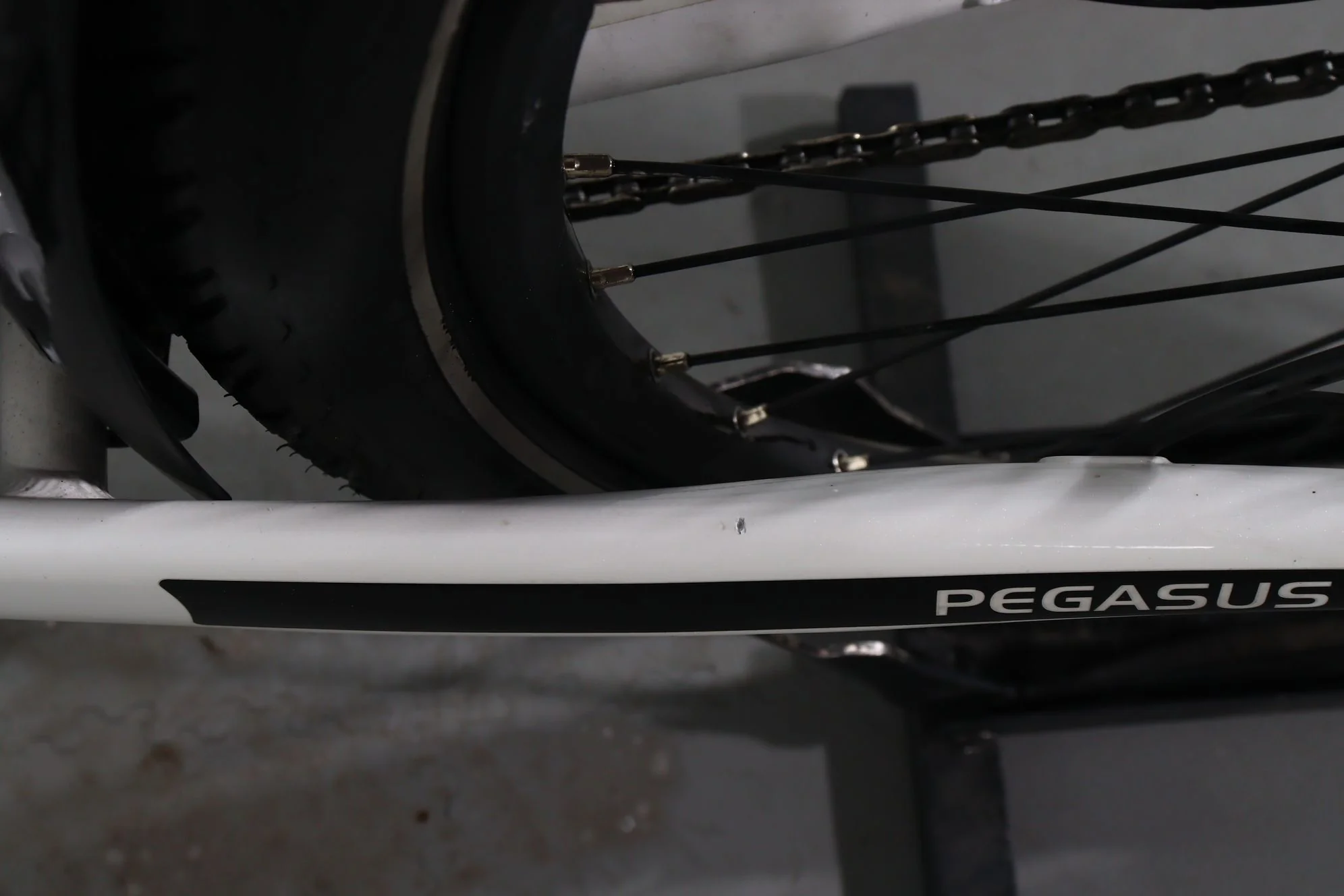 Pegasus Premio EVO 5 Lite Comfort - Image 13
