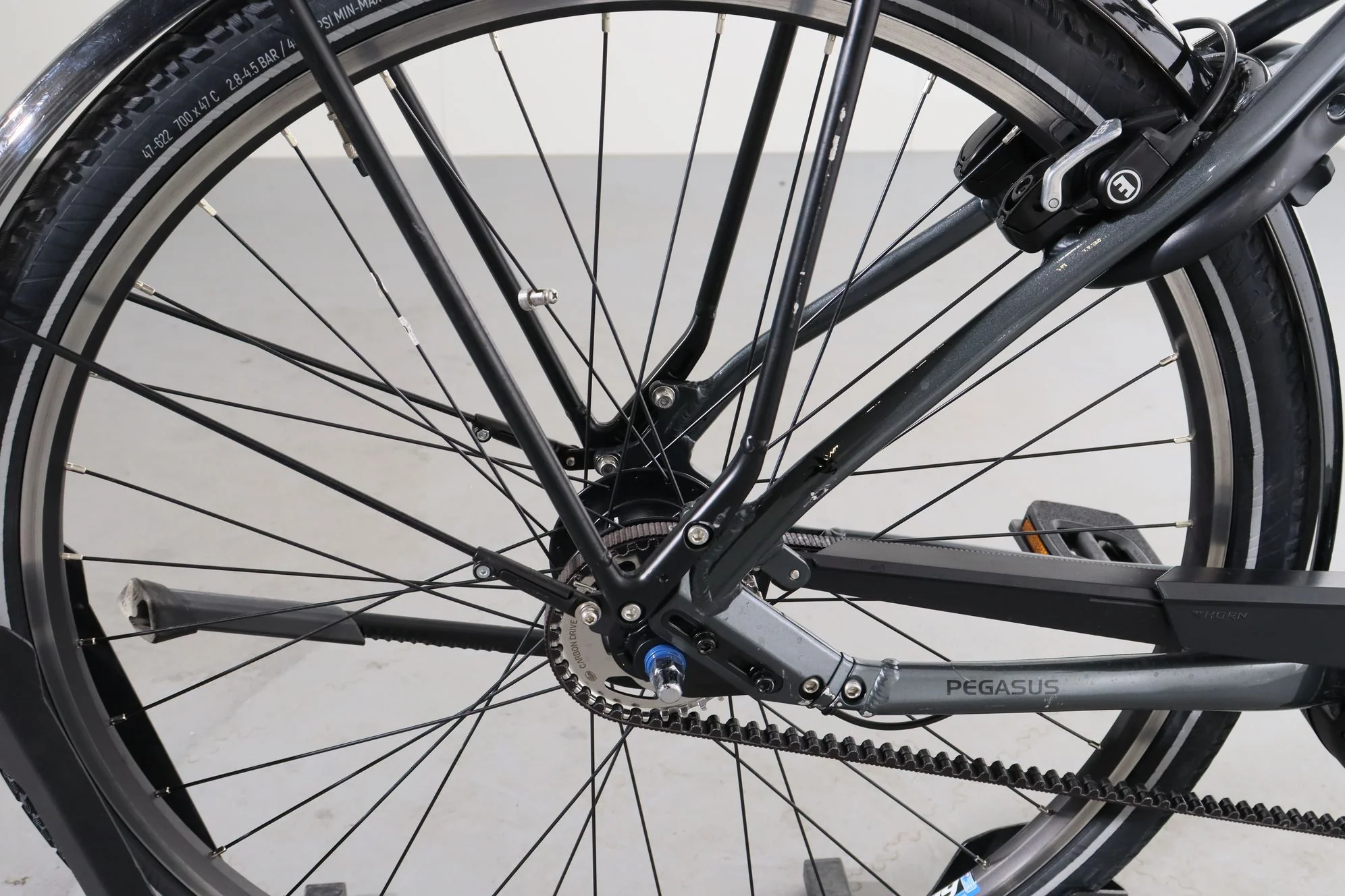 Pegasus Premio Evo 5F BELT - Image 10