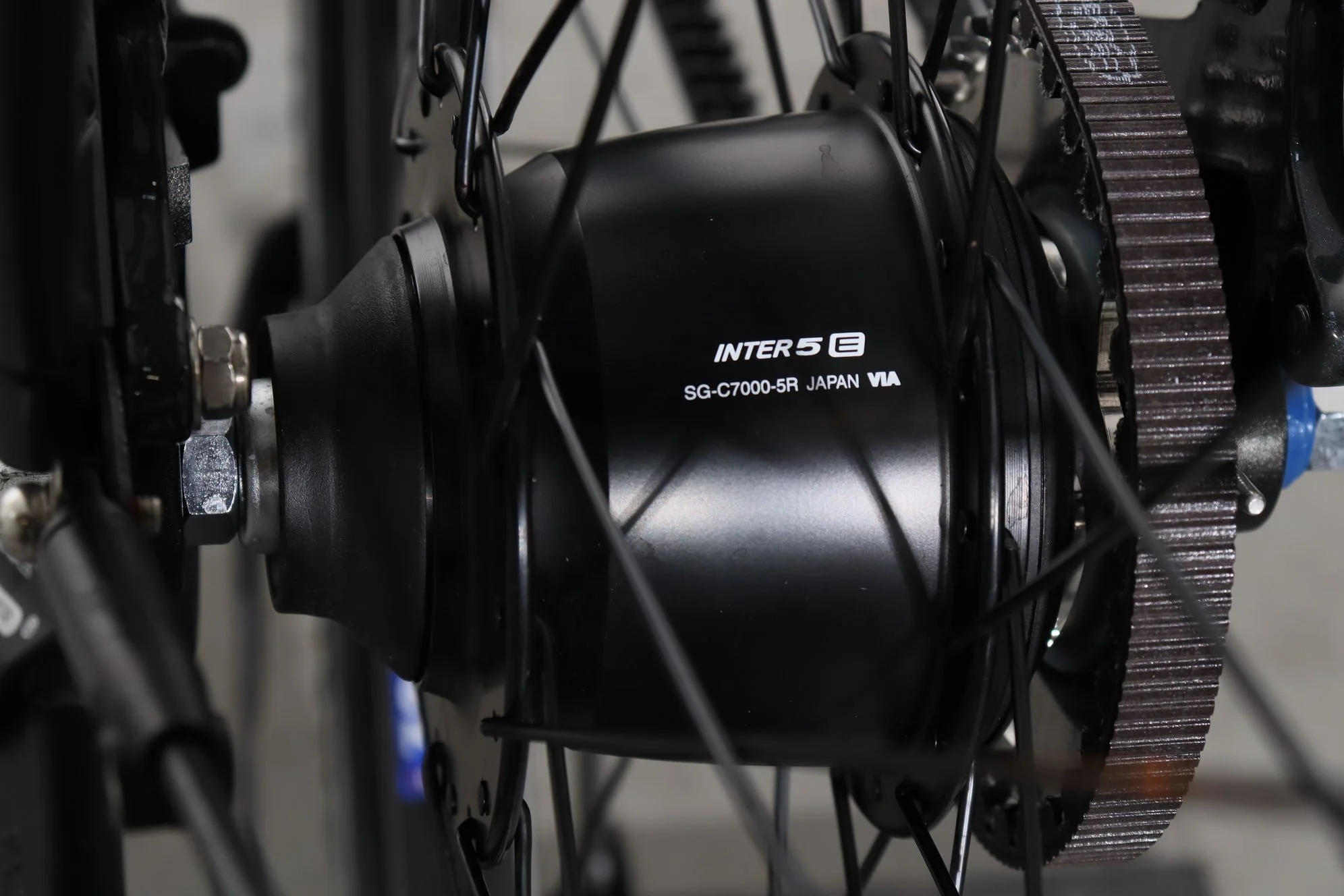 Pegasus Premio Evo 5F BELT - Image 9