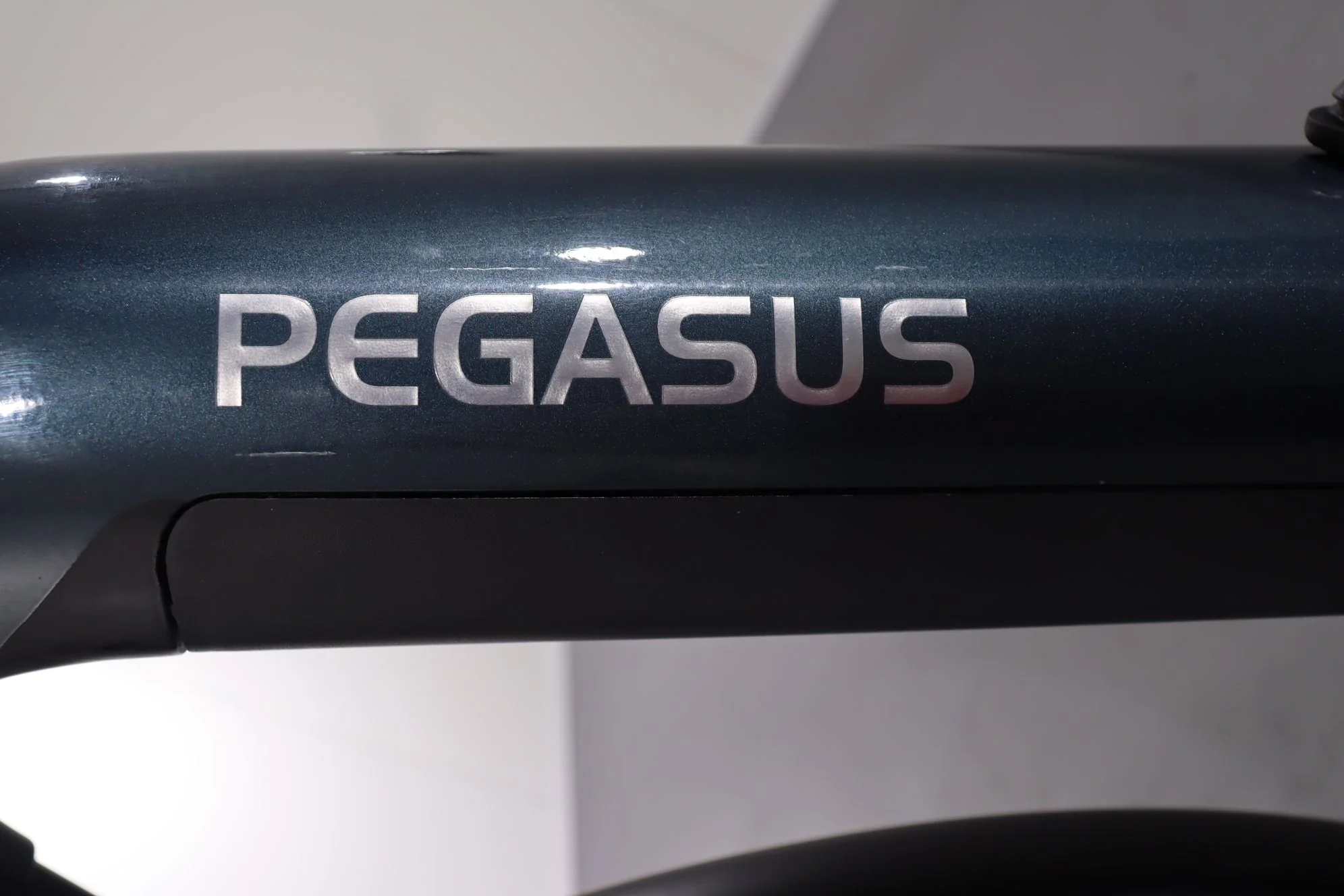 Pegasus Premio Evo 5F Belt - Image 8