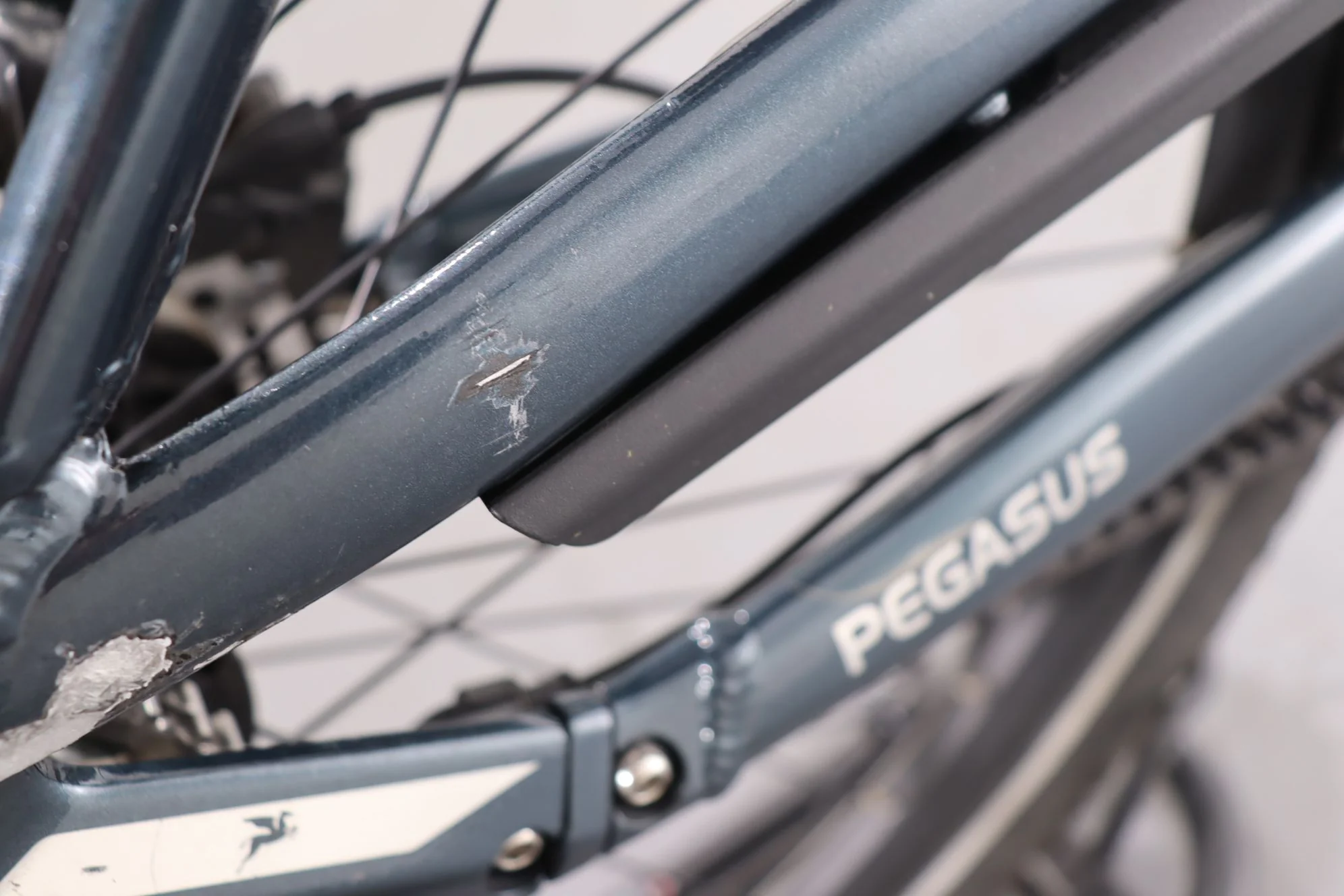 Pegasus Premio Evo 5F Belt - Image 9