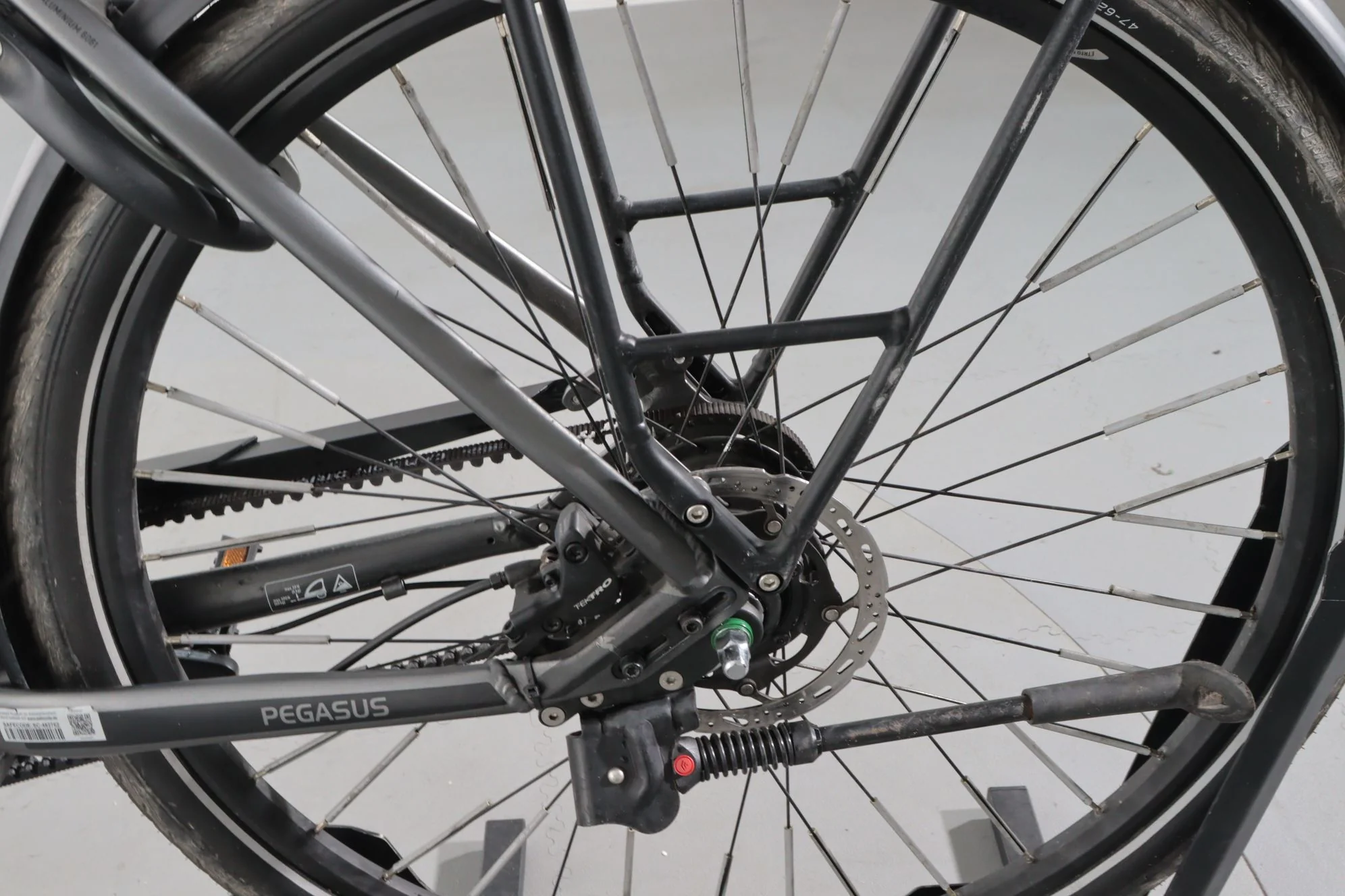 Pegasus Premio Evo 5R Belt - Image 8