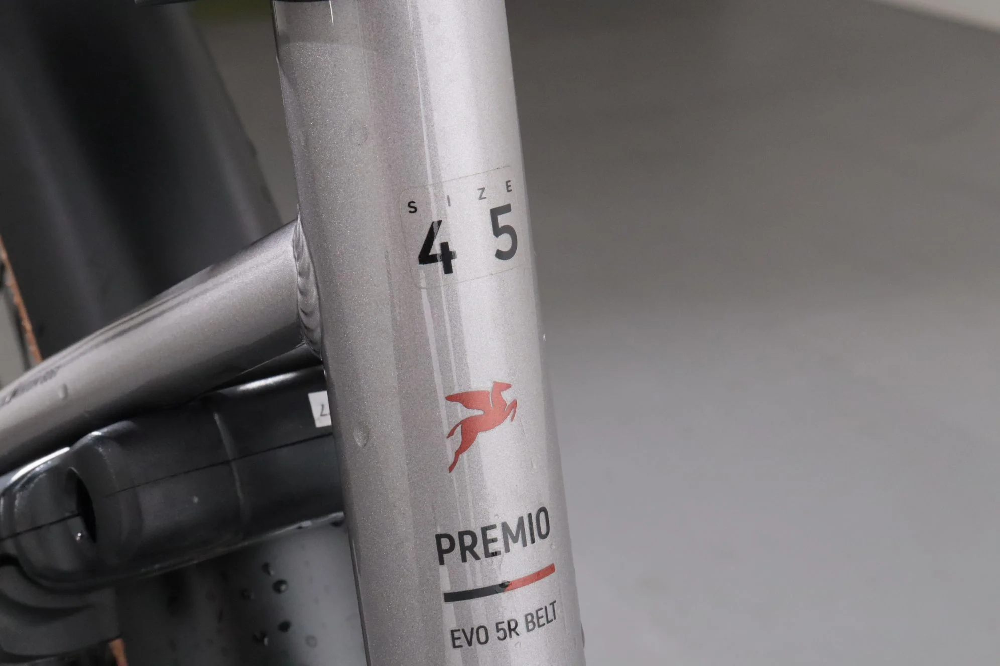 Pegasus Premio EVO 5R Belt - Image 11