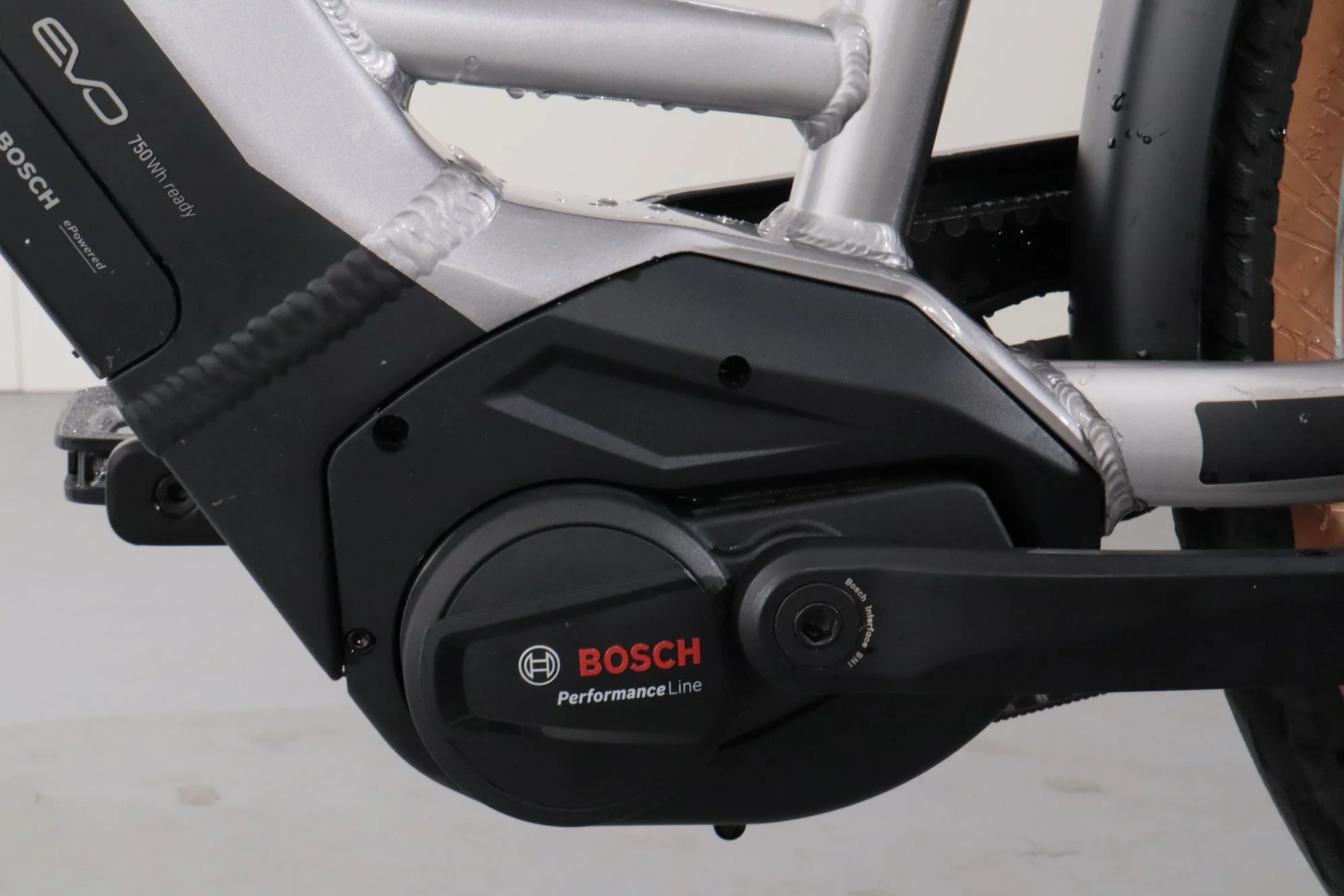 Pegasus Premio EVO 5R Belt - Image 13