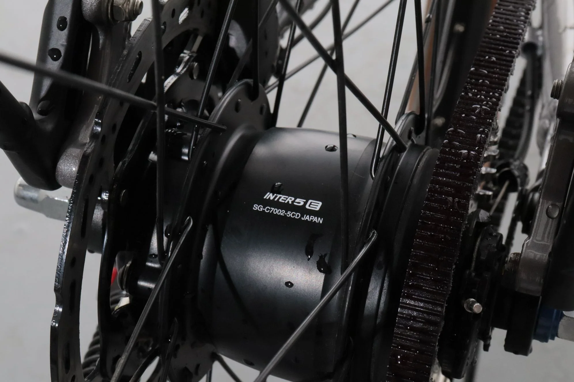Pegasus Premio EVO 5R Belt - Image 8