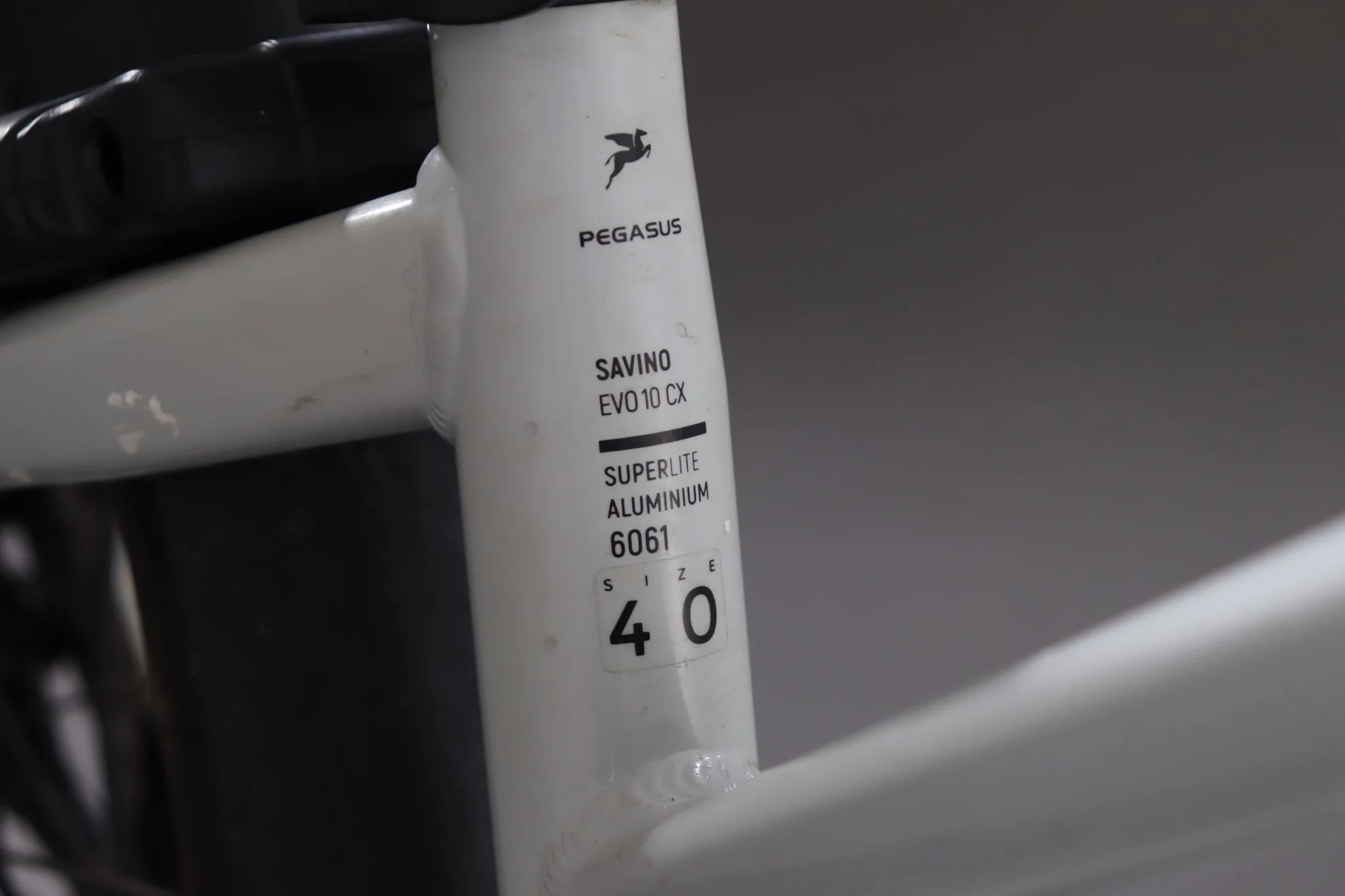 Pegasus Savino Evo 10 CX - Image 12