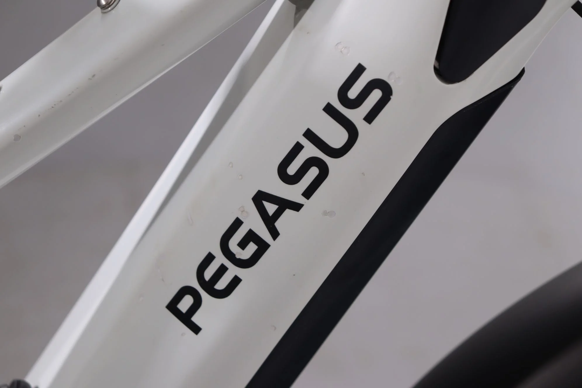 Pegasus Savino Evo 10 CX - Image 8