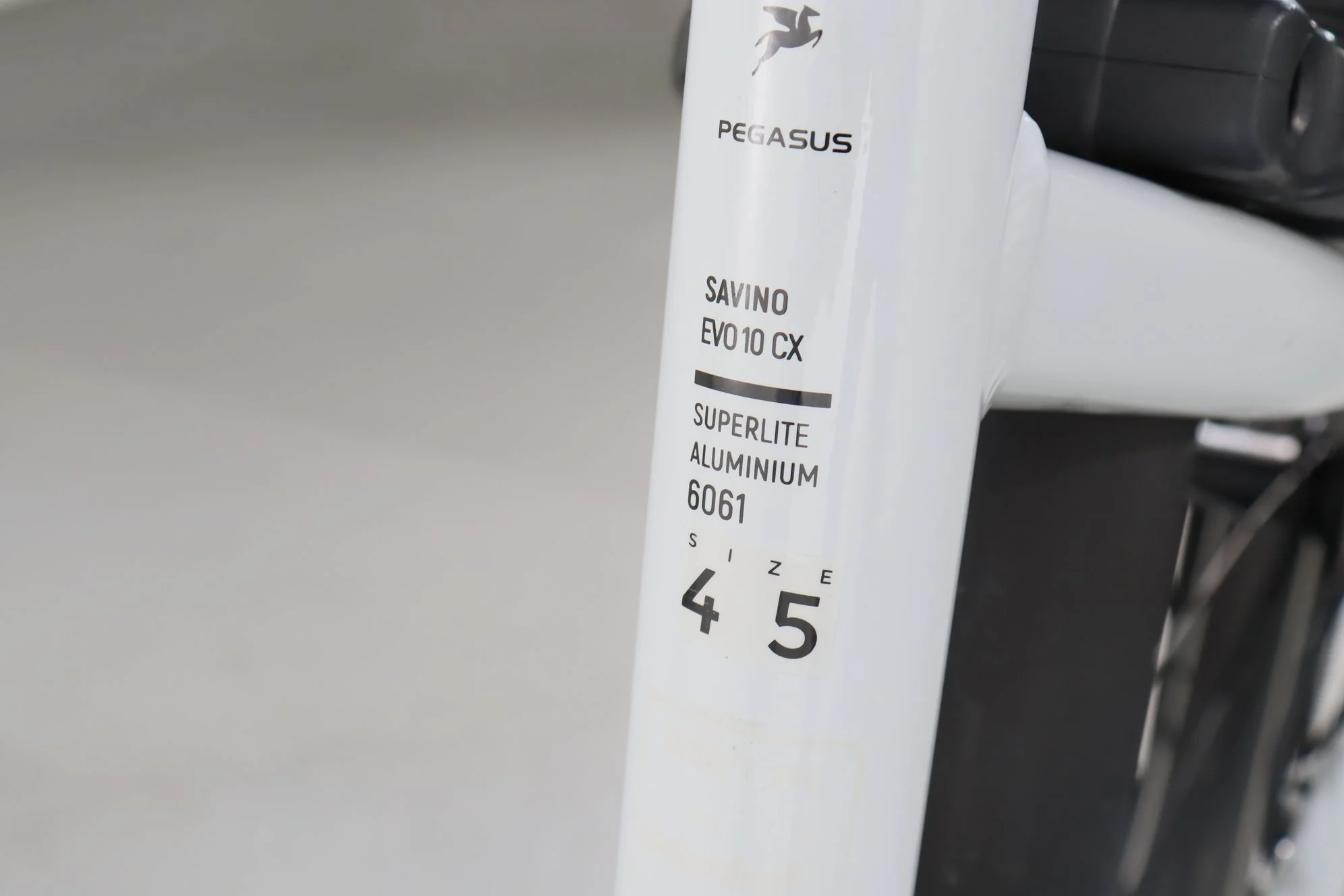 Pegasus Savino Evo 10 CX - Image 8