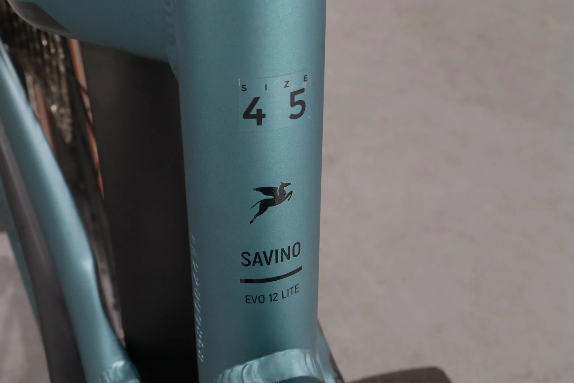 Pegasus Savino EVO 12 Lite - Image 11