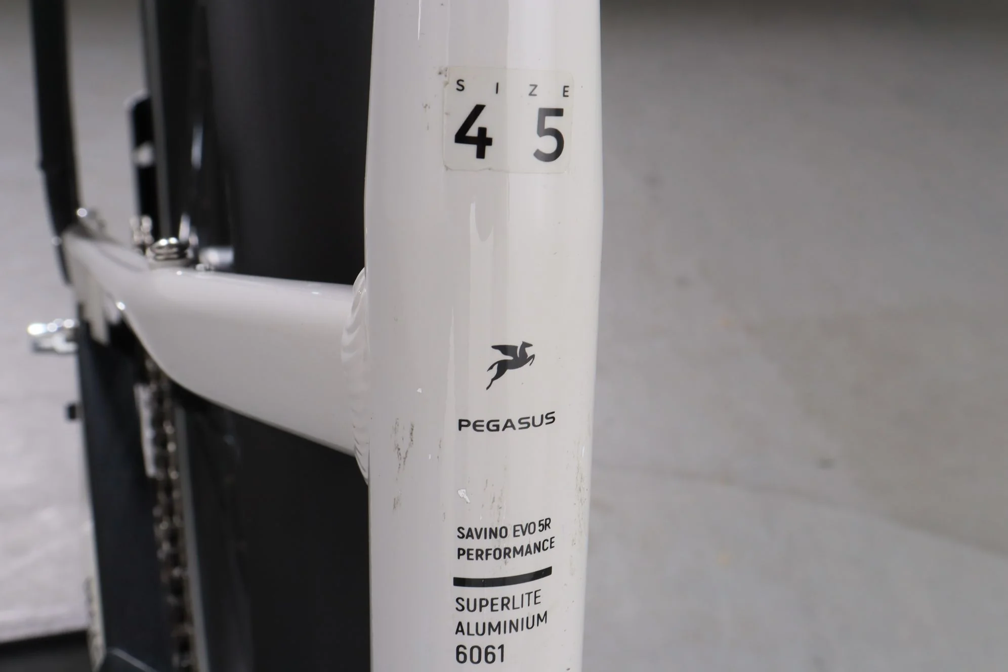 Pegasus Savino Evo 5R - Image 12