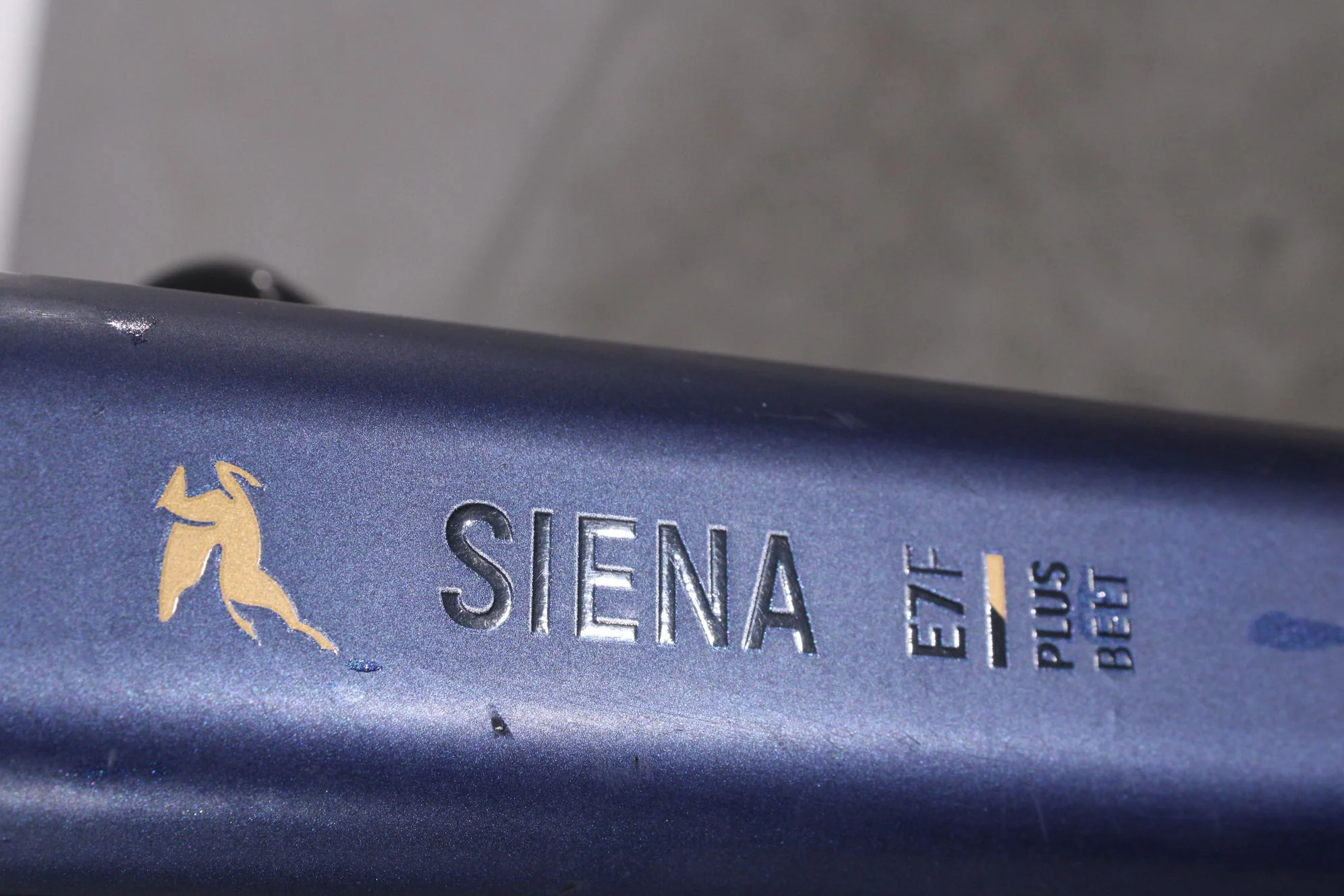 Pegasus Siena E7f Plus - Image 16