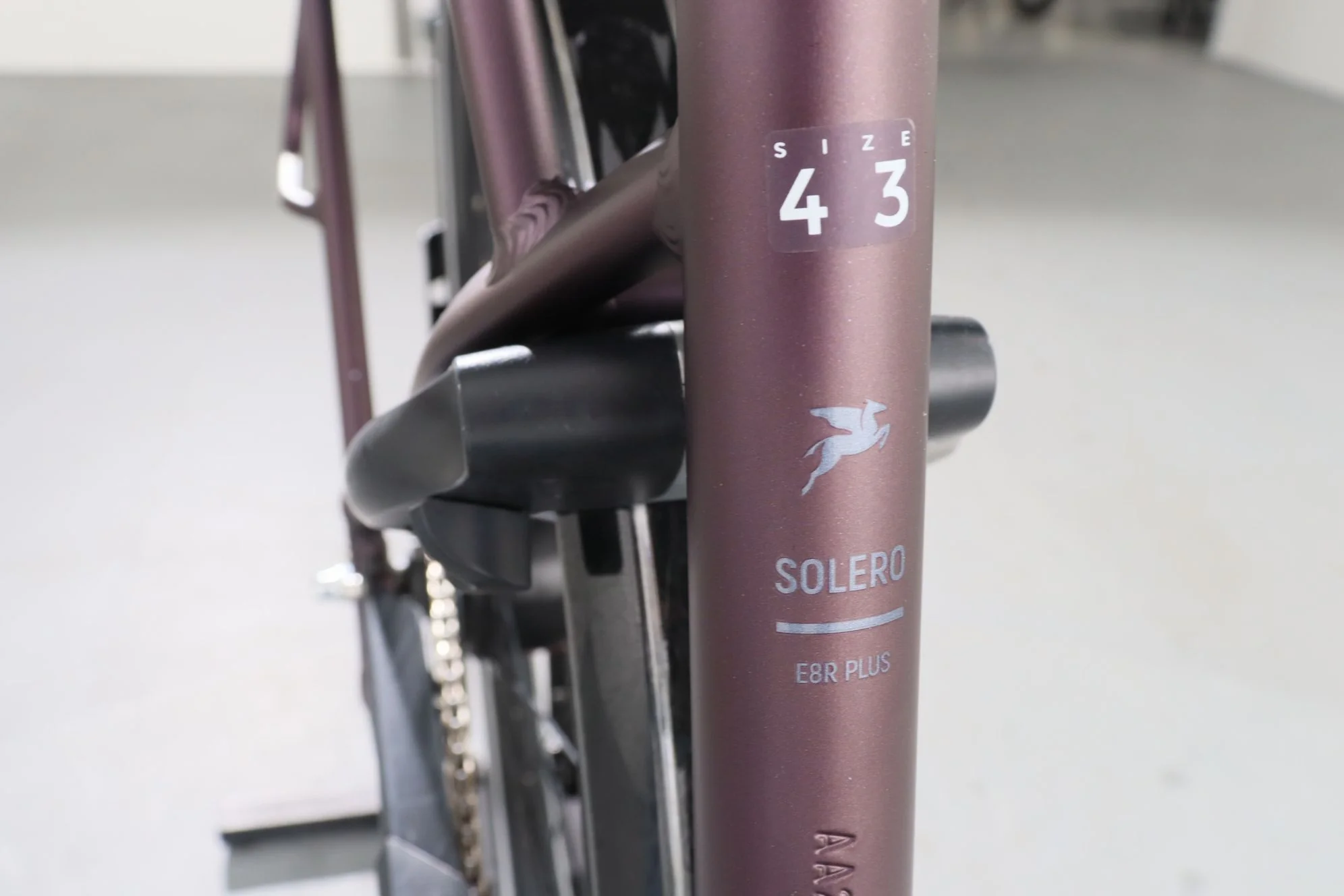 Pegasus Solero E8R Plus - Image 12