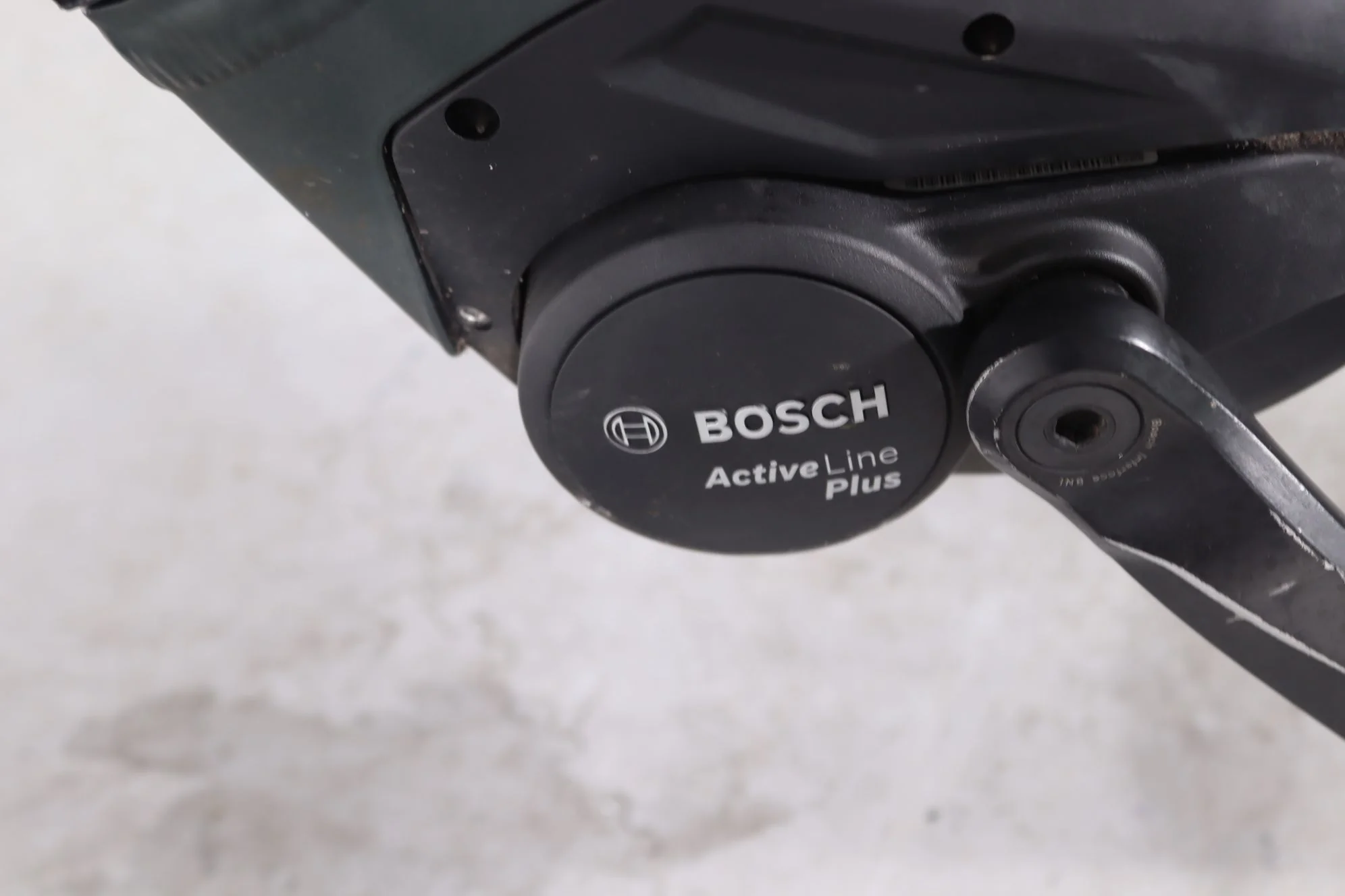 Pegasus Solero EVO 8R Belt - Image 10
