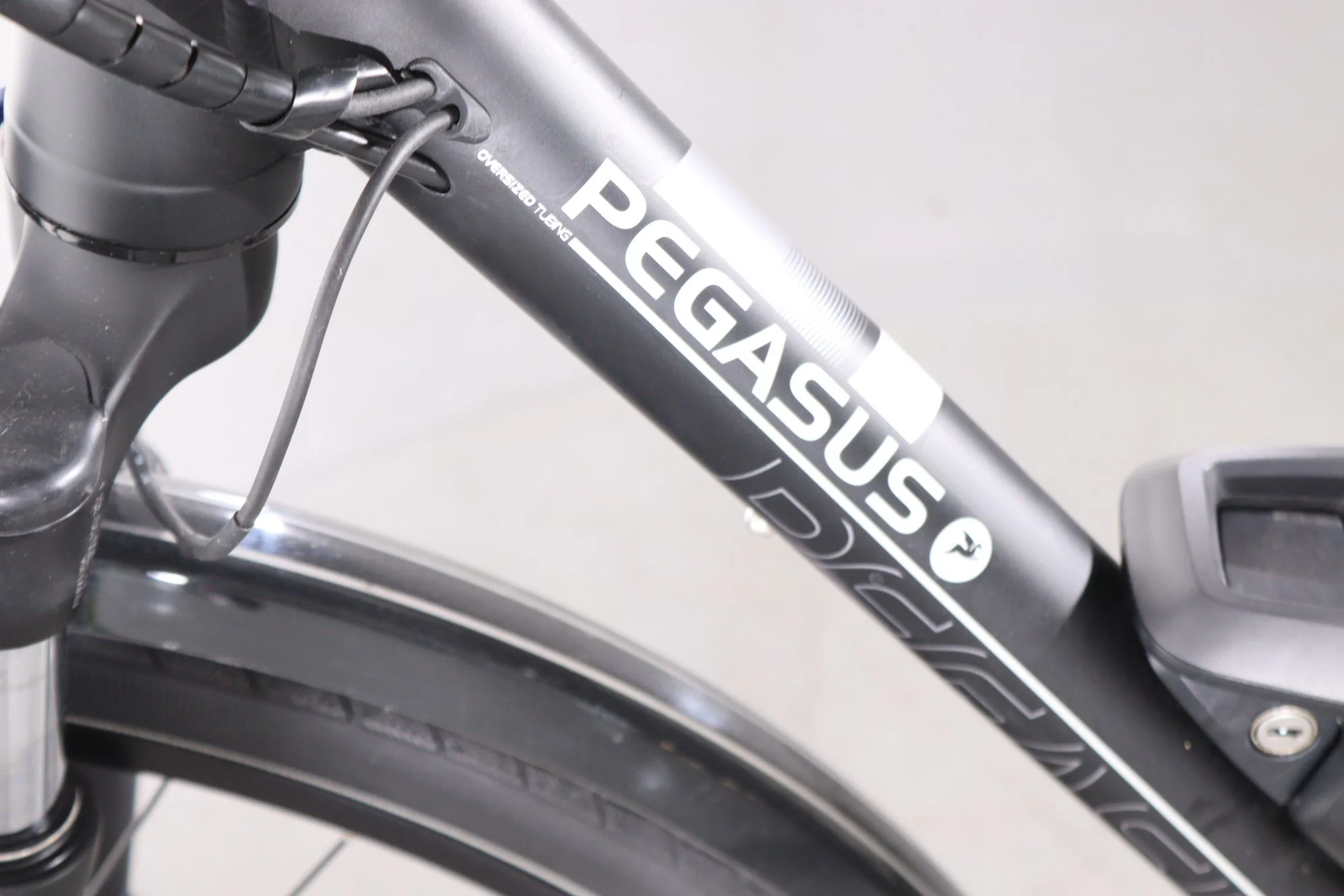 Pegasus Strong E10 - Image 9