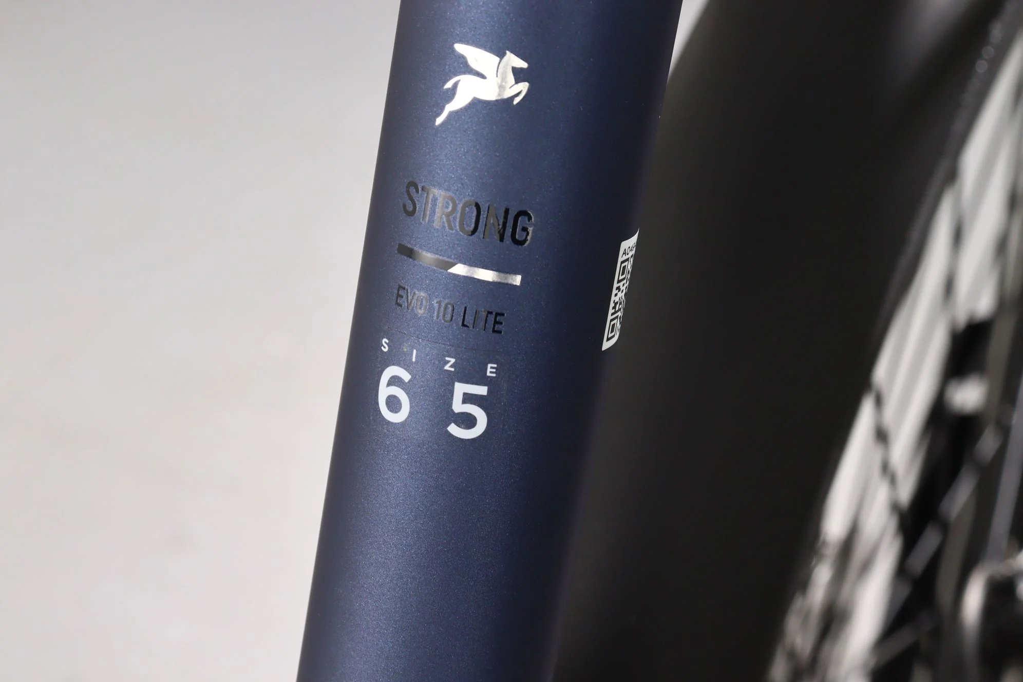 Pegasus Strong Evo 10 Lite - Image 8