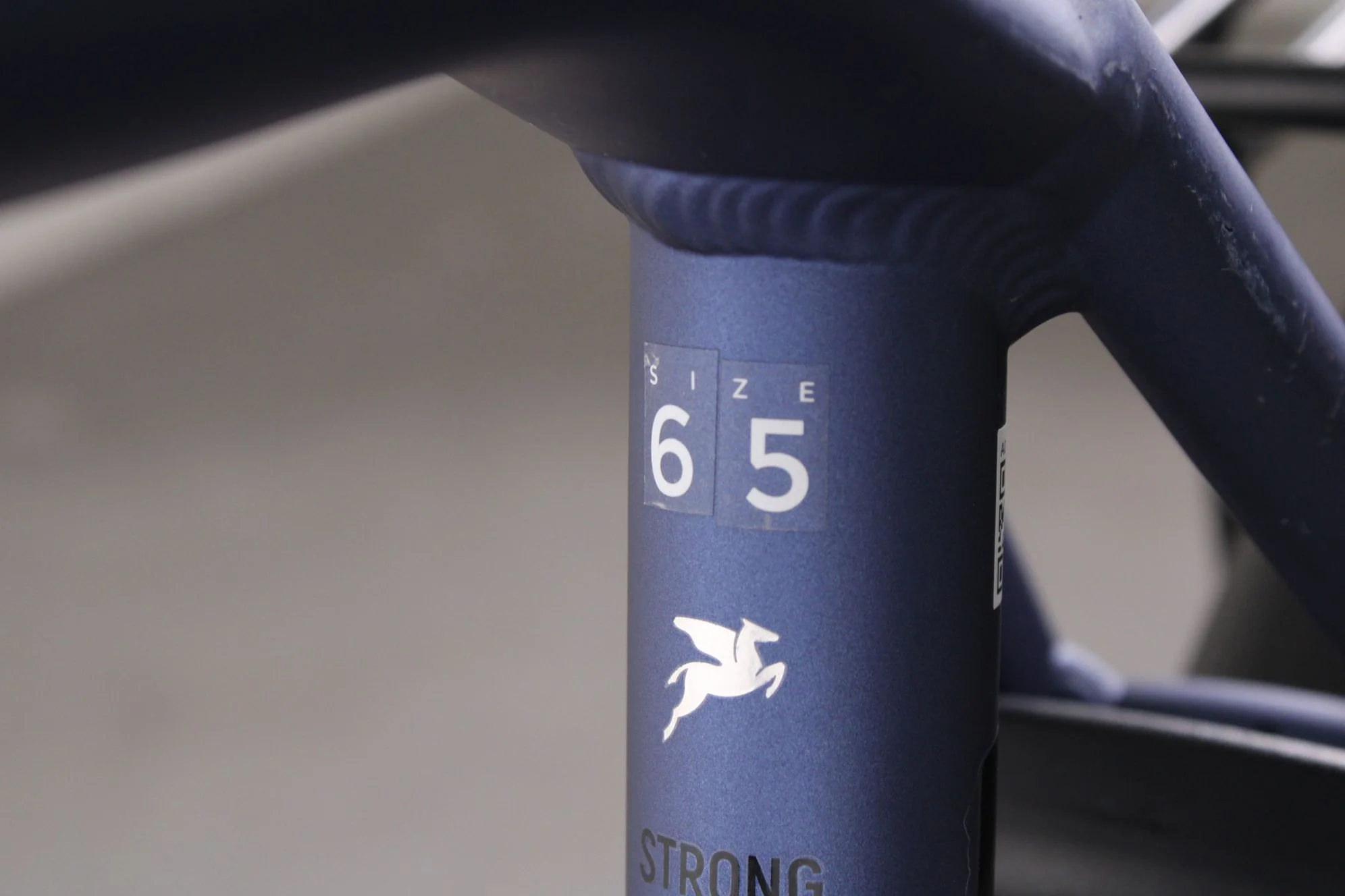 Pegasus Strong Evo 10 Lite - Image 8