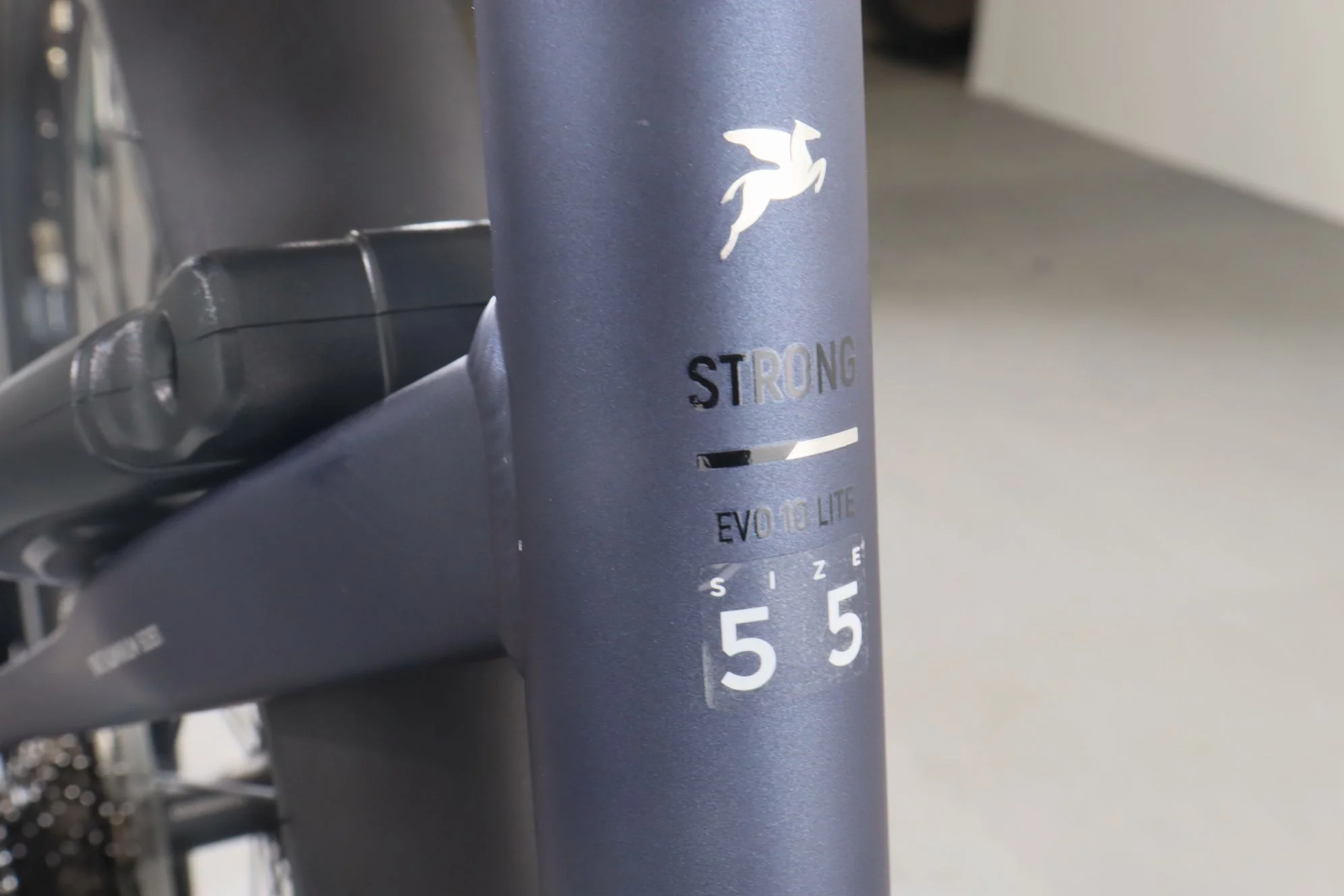 Pegasus Strong Evo 10 Lite - Image 11