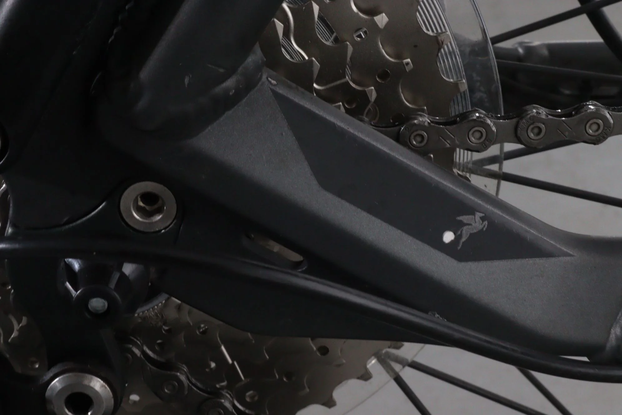 Pegasus Strong EVO 10 - Image 19
