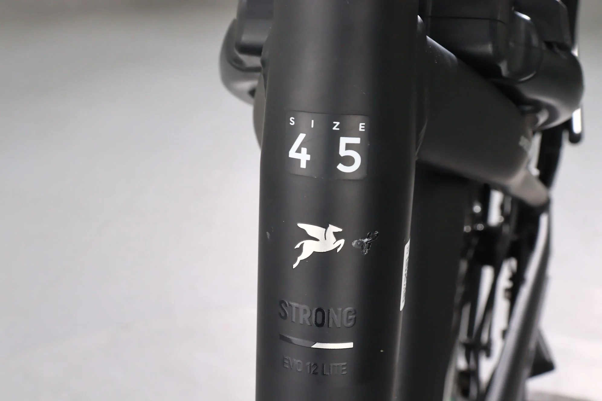 Pegasus Strong EVO 12 Lite - Image 11