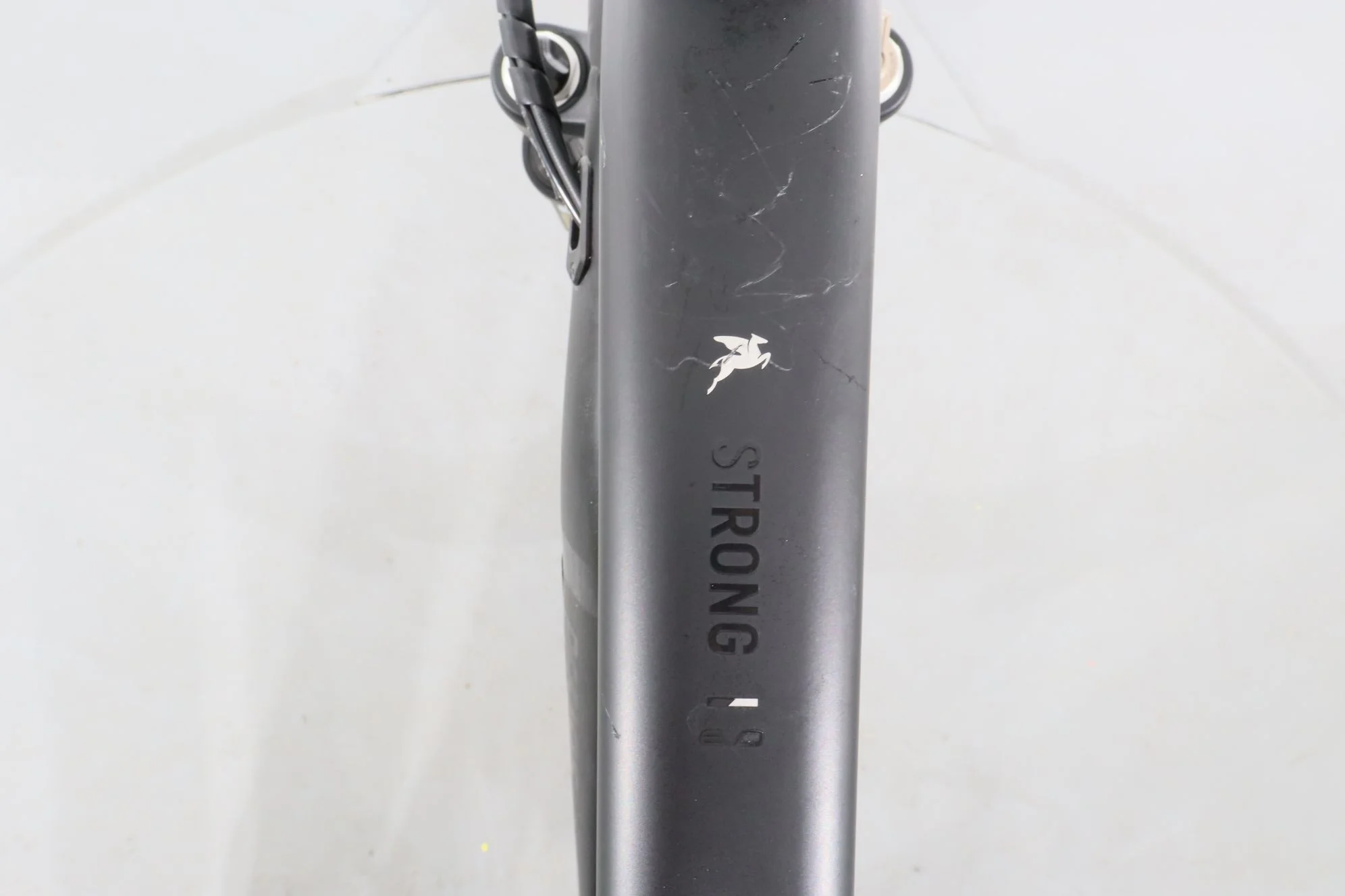 Pegasus Strong EVO 12 - Image 13