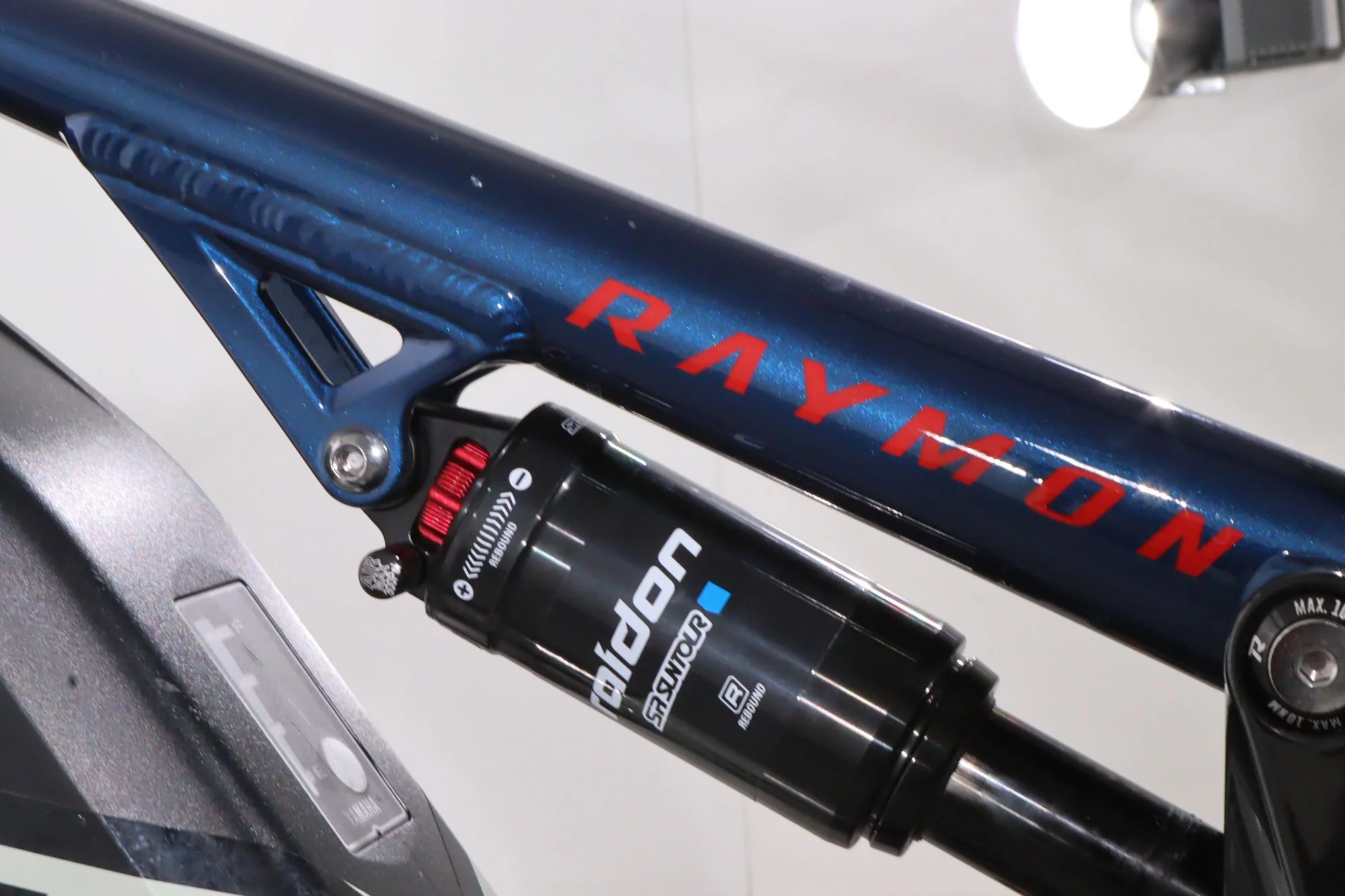Raymon CrossRay E 4.0 - Image 11
