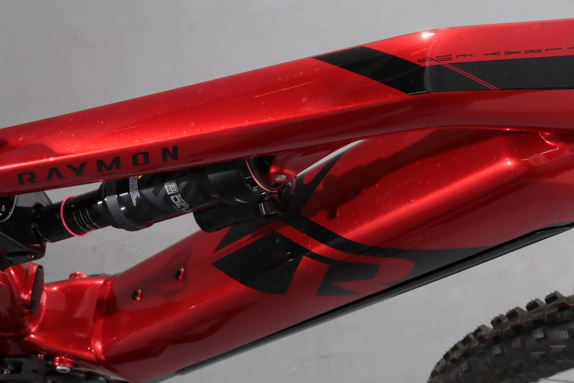 Raymon TrailRay 160 E 8.0 - Image 9