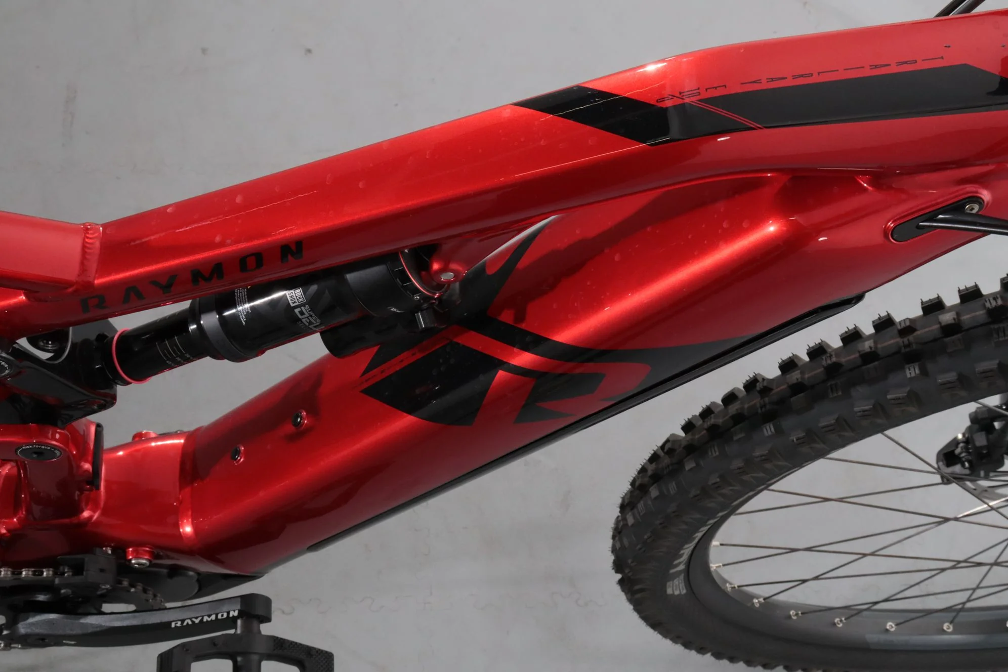 Raymon TrailRay 160 E 8.0 - Image 9