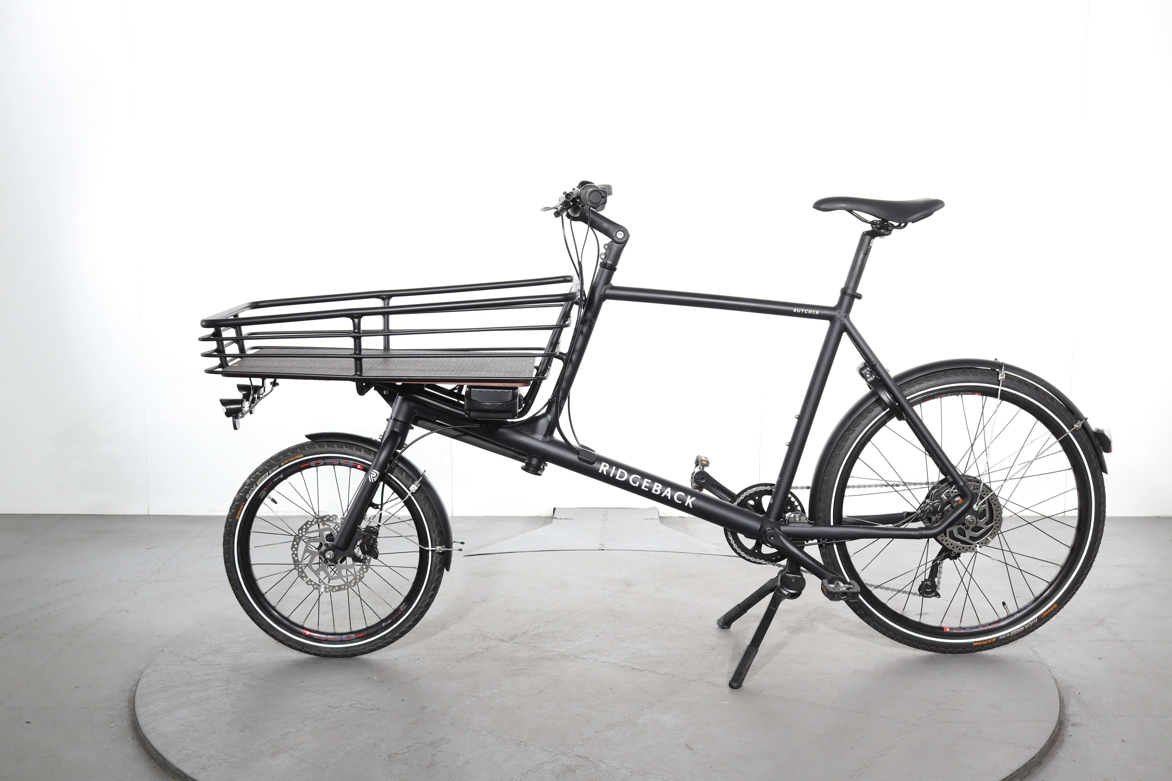 Ridgeback burcher - Image 4
