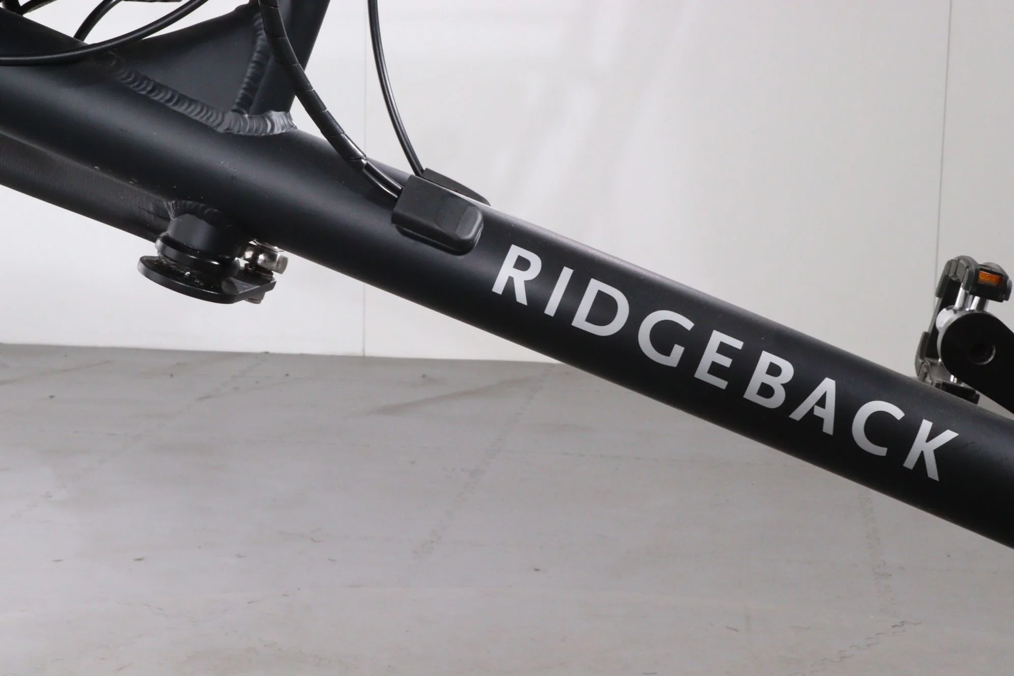 Ridgeback burcher - Image 9