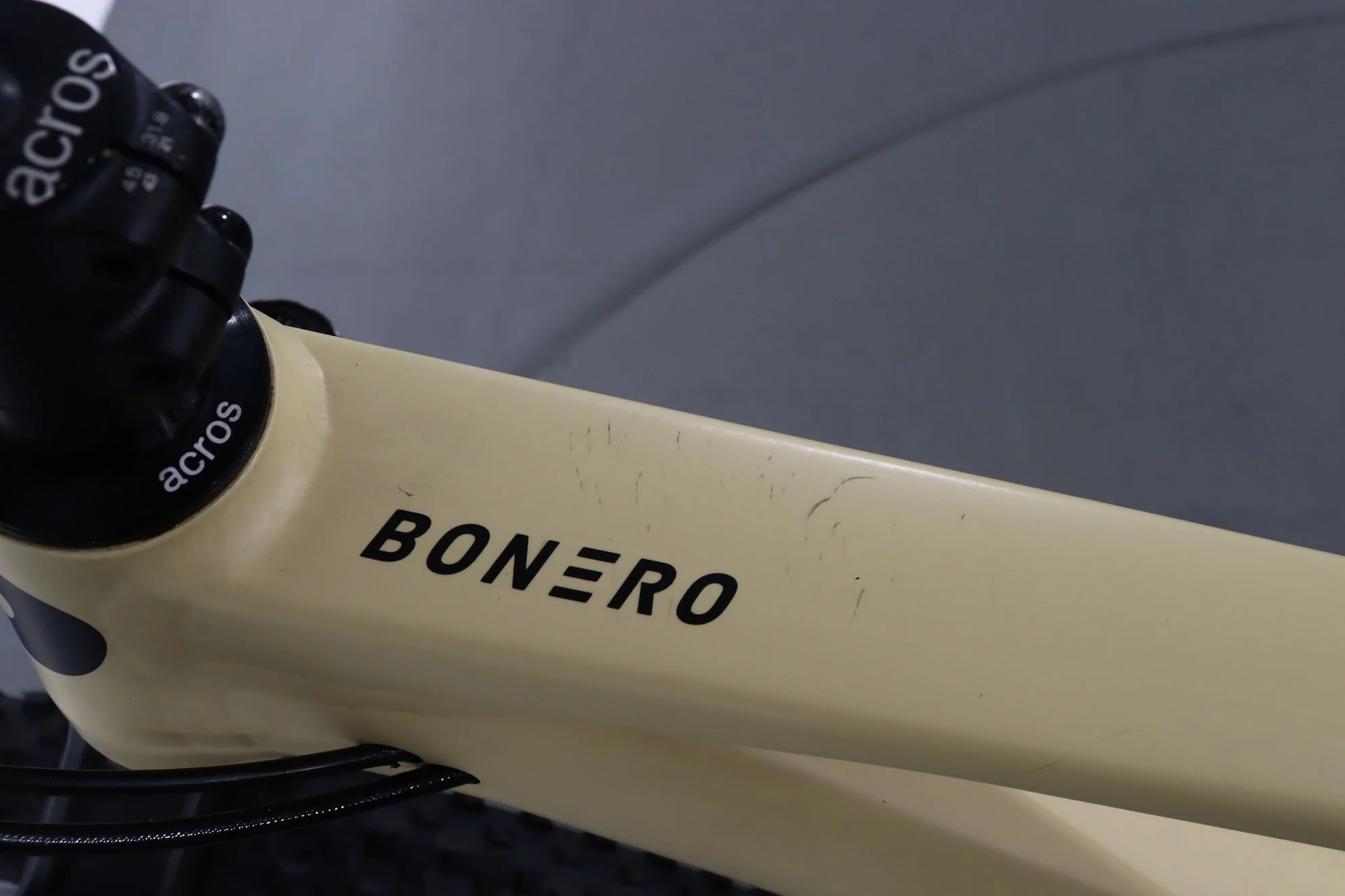 Rose Bonero 3 - Image 8