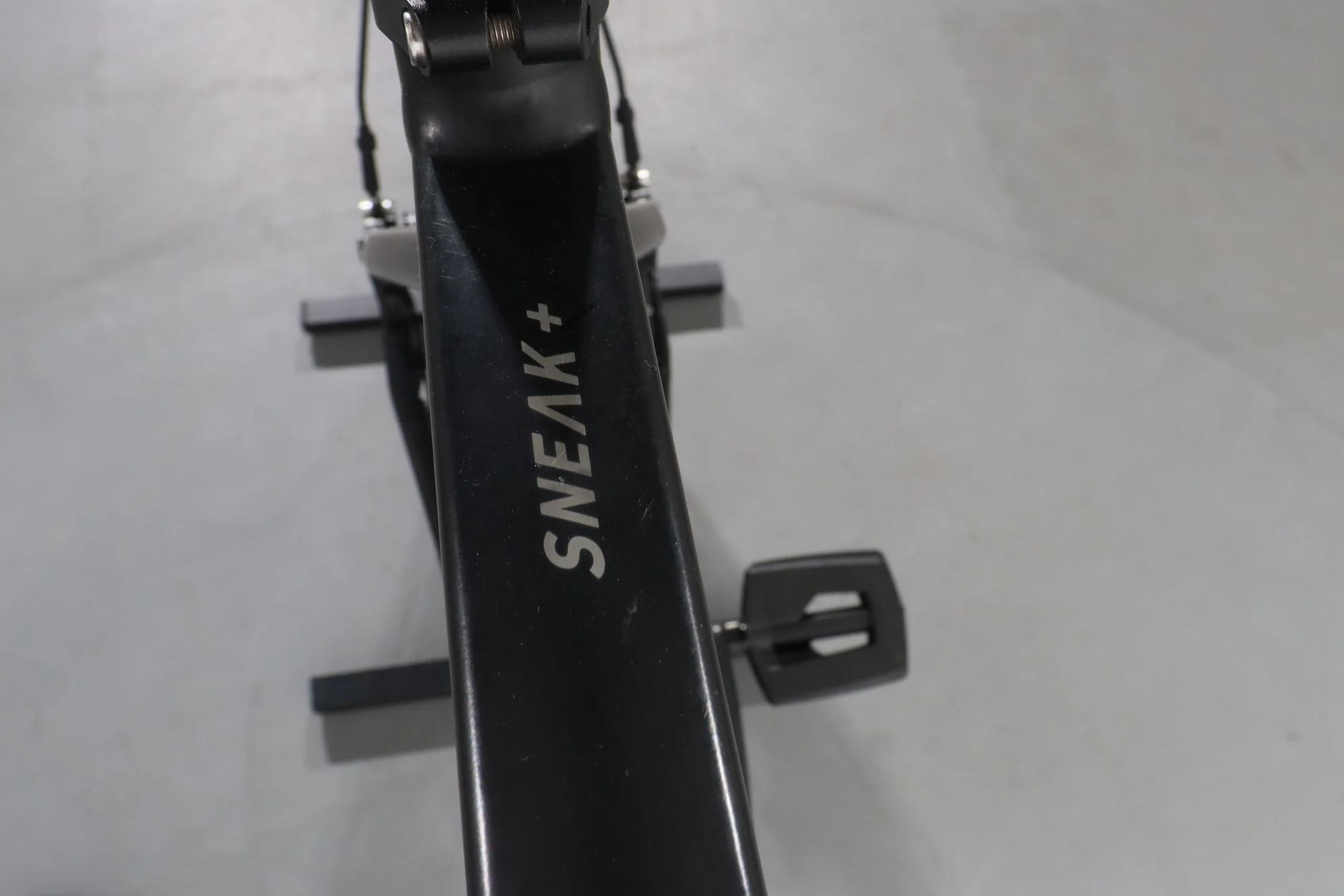 Rose Sneak Plus EQ - Image 10