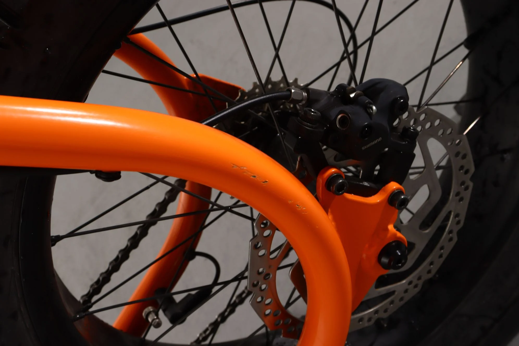 Ruff Cycles Lil Buddy - Image 11