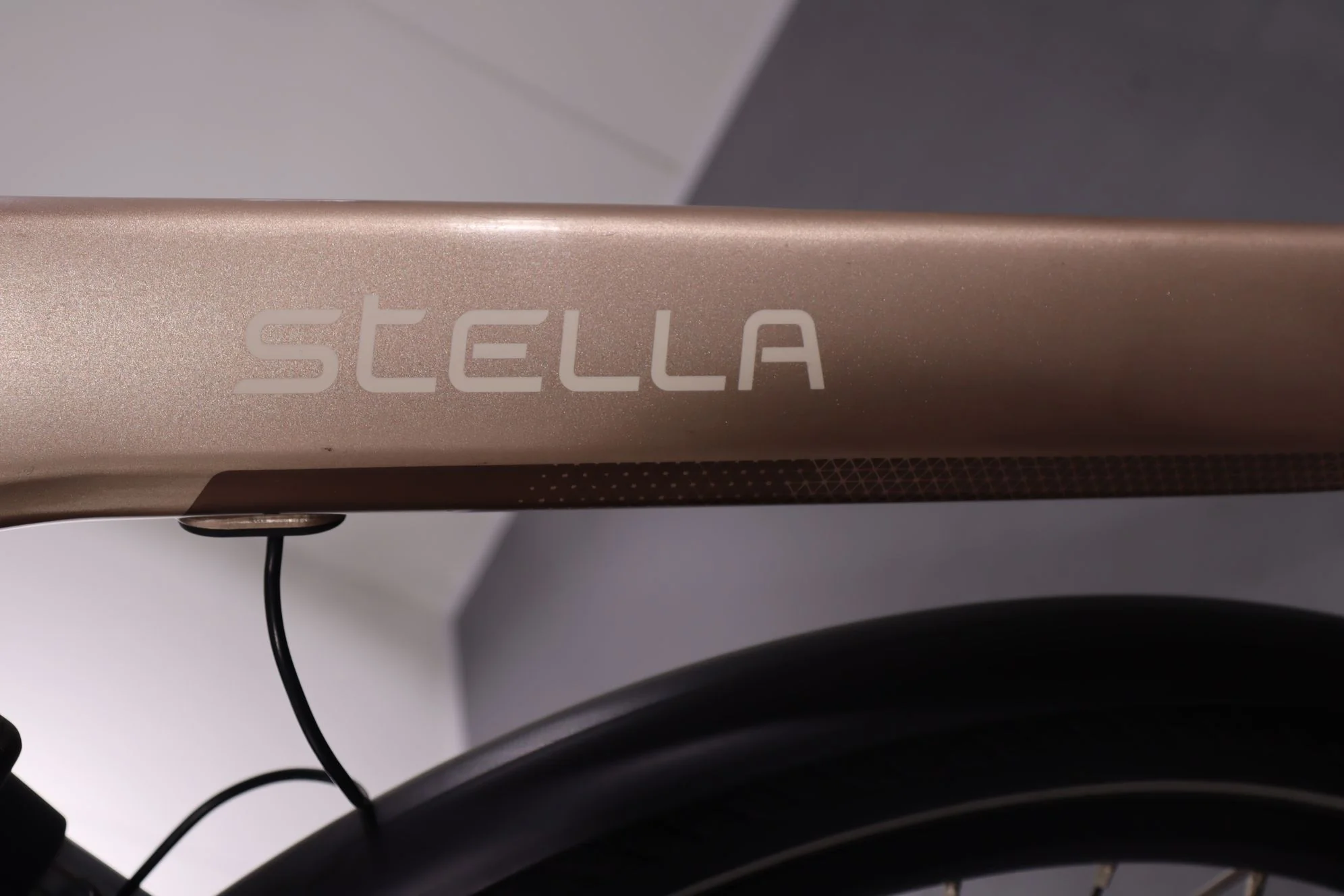Stella Livorno Superior FDTS - Image 8
