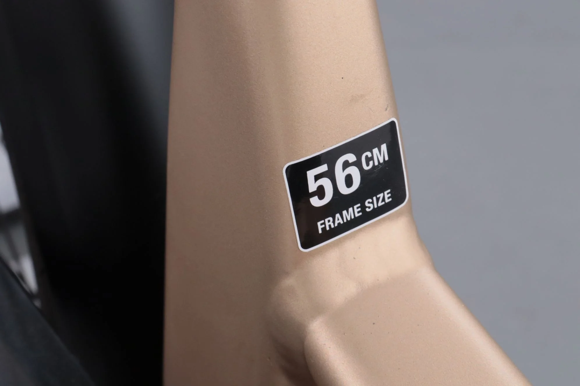 Stevens E-Brione Luxe Forma - Image 11