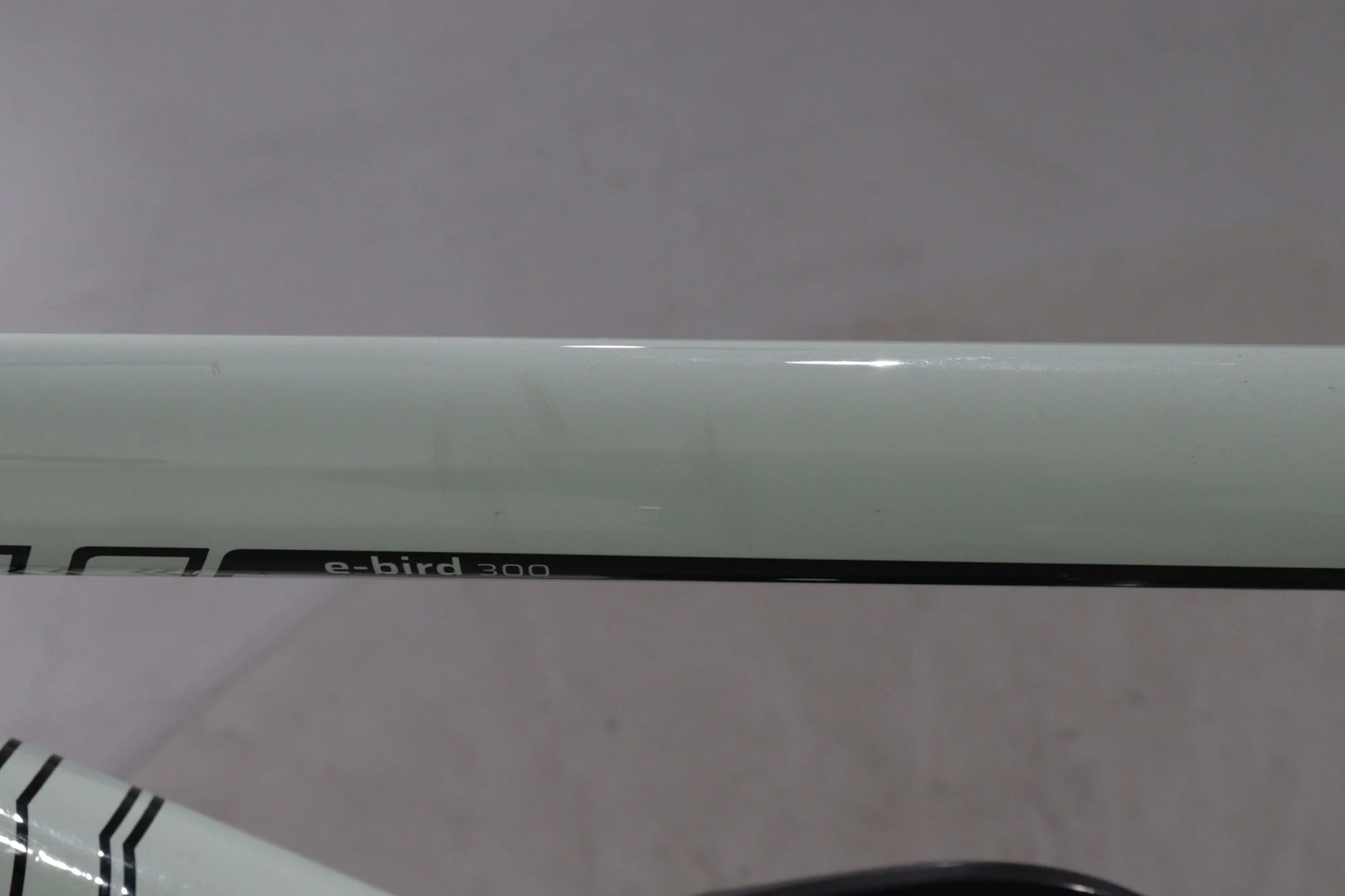 Triumph E-Bird 300 - Image 9