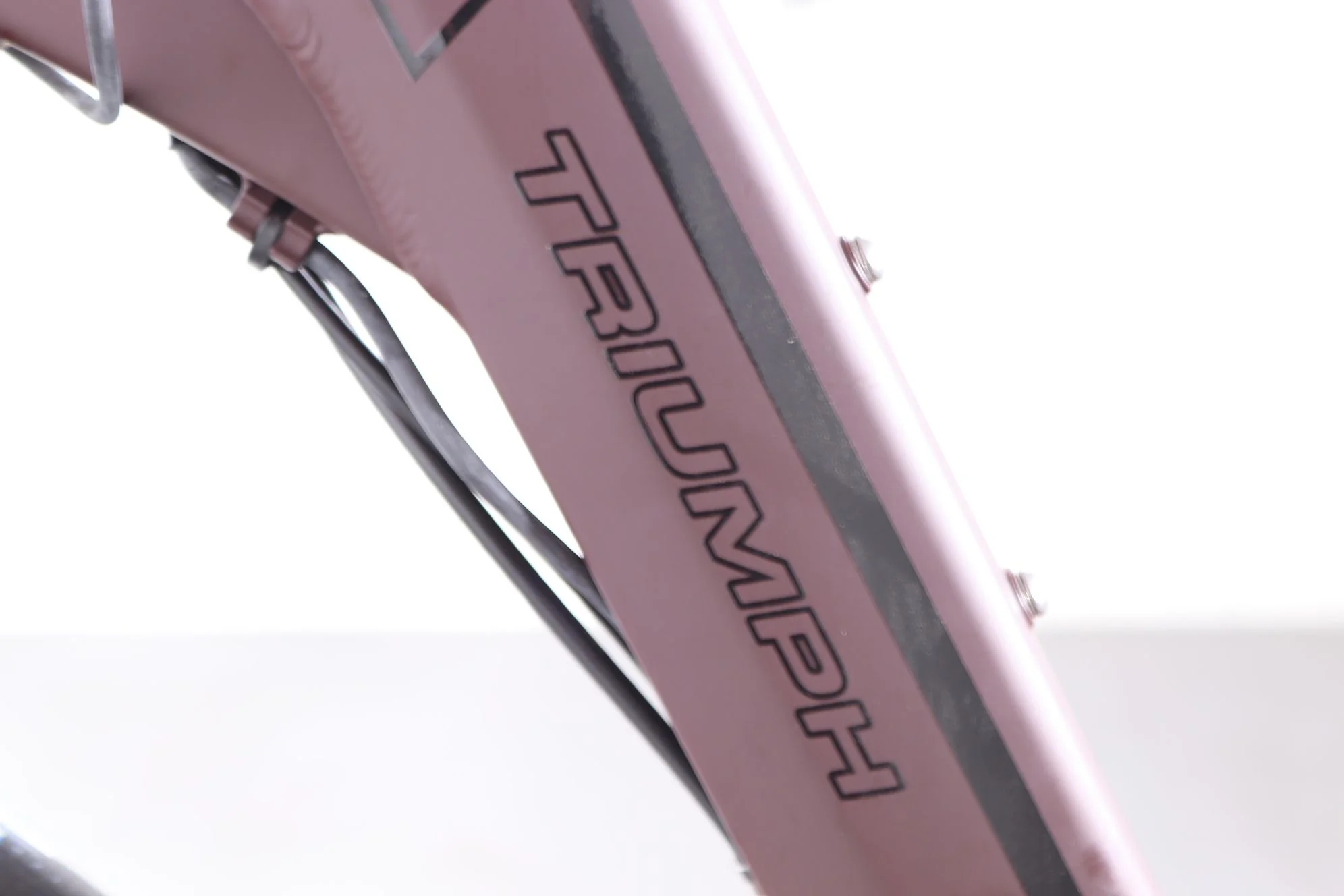 Triumph E-Bird Plus - Image 12